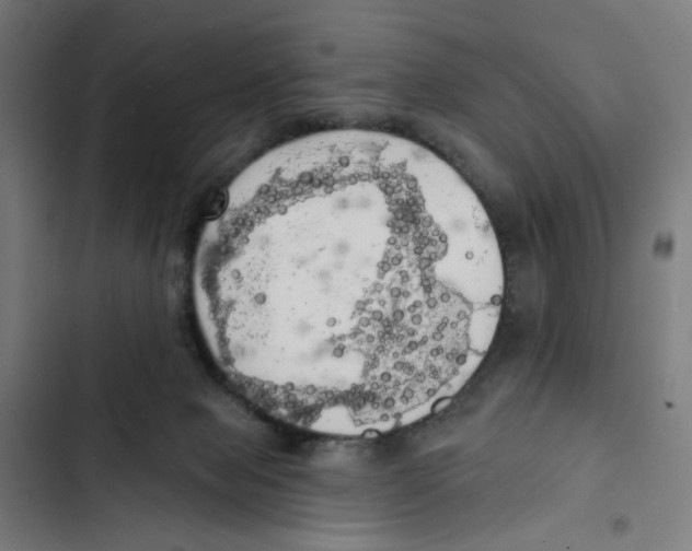 X0000102500077200809051356