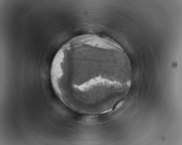 X0000102500078200809051356