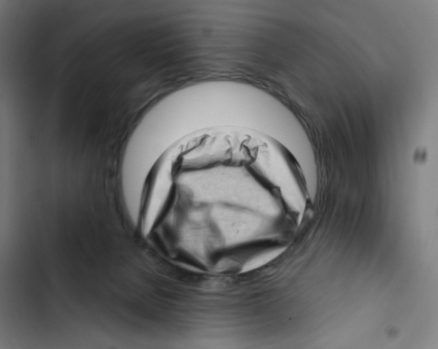 X0000102500080200809051356