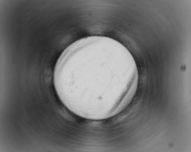 X0000102500081200809051356