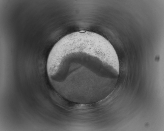 X0000102500082200809051356