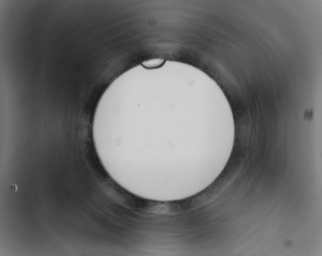 X0000102500083200809051356