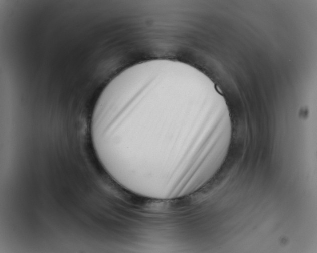 X0000102500084200809051356