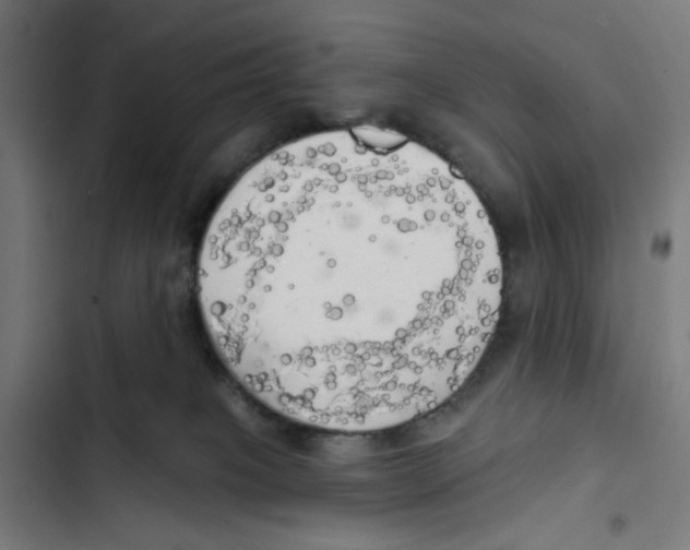 X0000102500085200809051356