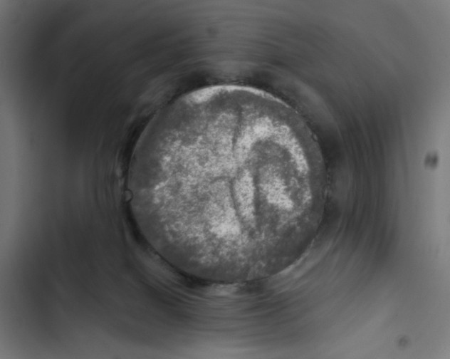 X0000102500086200809051356