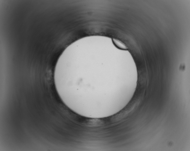 X0000102500087200809051356