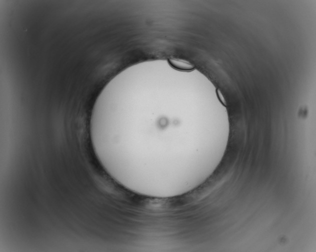 X0000102500088200809051356