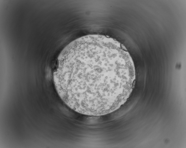 X0000102500089200809051356