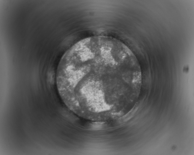 X0000102500090200809051356