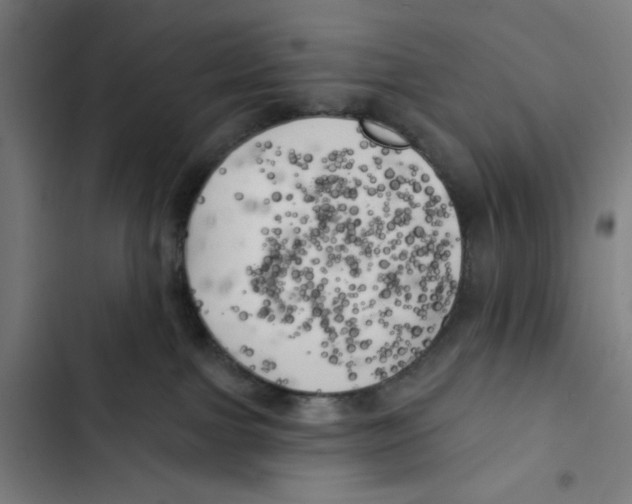 X0000102500091200809051356