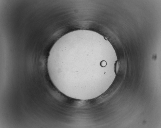 X0000102500092200809051356