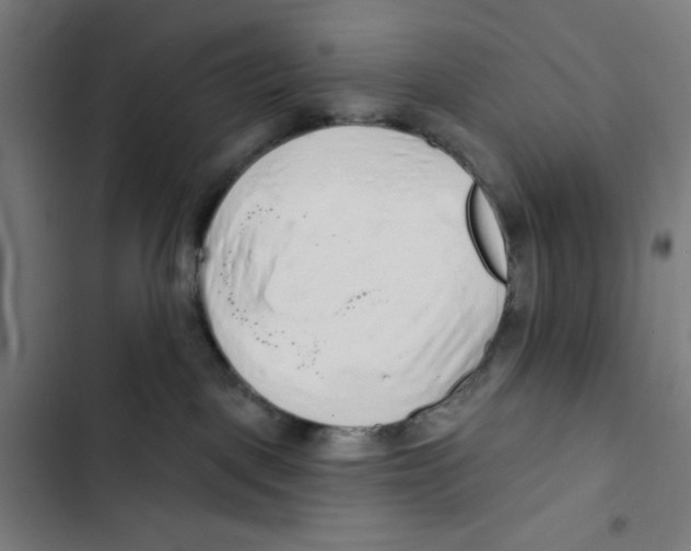 X0000102500093200809051356