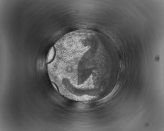 X0000102500094200809051356