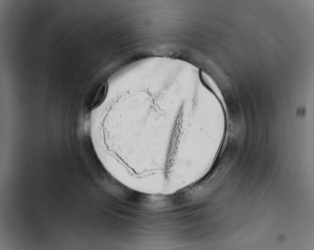 X0000102500095200809051356