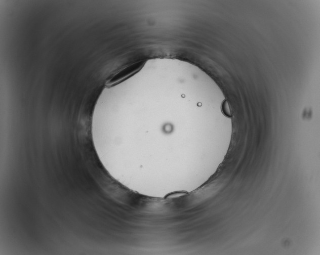 X0000102500096200809051356