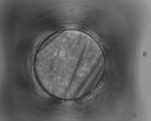 X0000102500097200809051355