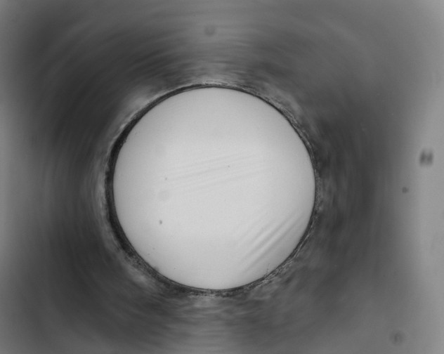 X0000102500098200809051355