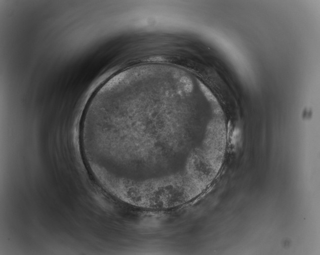 X0000102500099200809051355