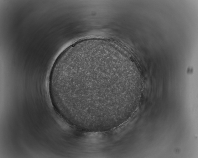 X0000102500100200809051355