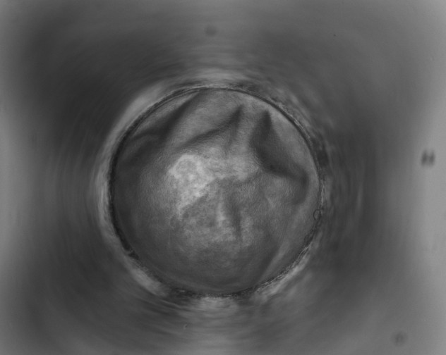 X0000102500101200809051355