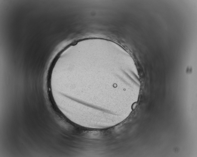 X0000102500104200809051355