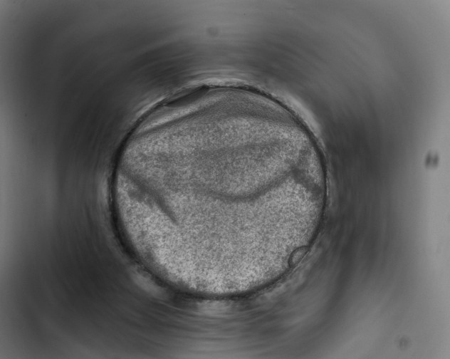 X0000102500105200809051355