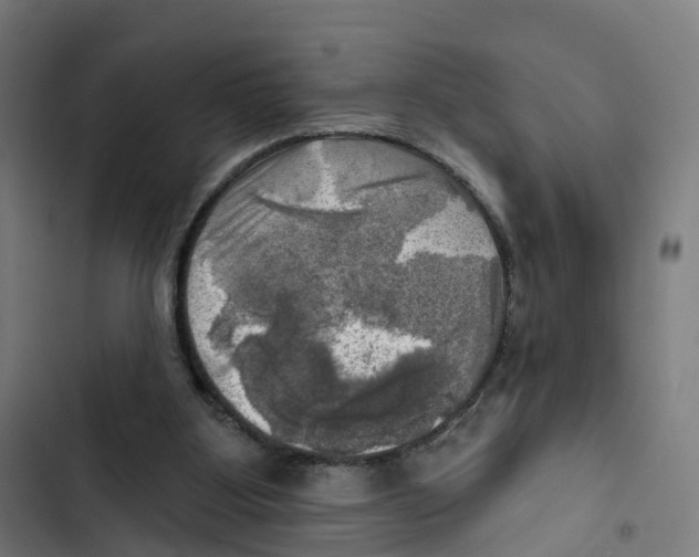 X0000102500107200809051355