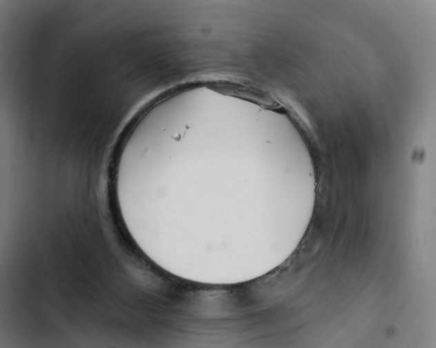 X0000102500108200809051355