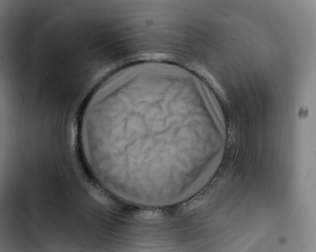 X0000102500110200809051355