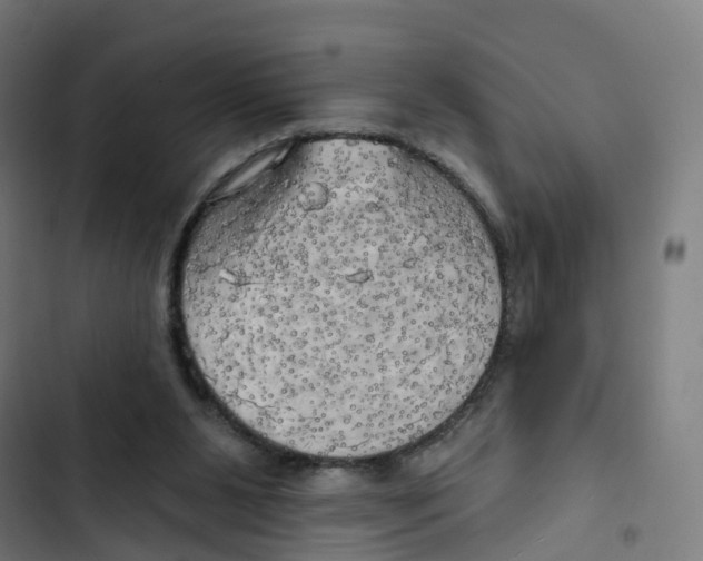 X0000102500111200809051355