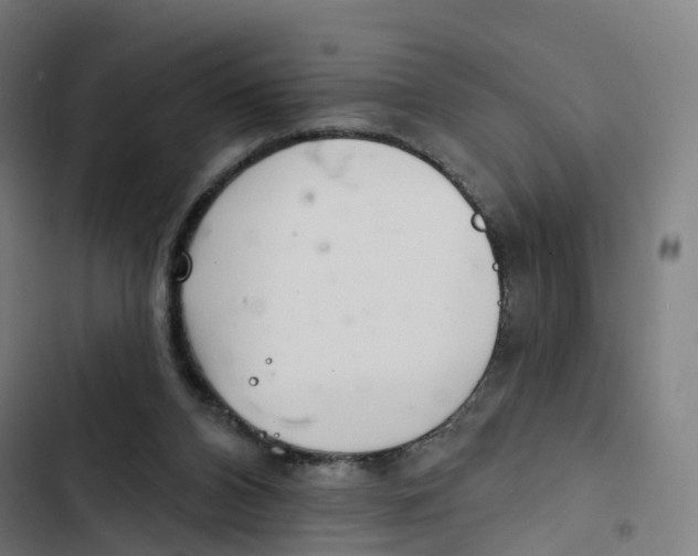 X0000102500112200809051355