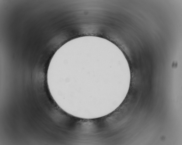 X0000102500113200809051355