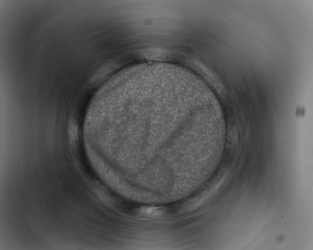 X0000102500117200809051355