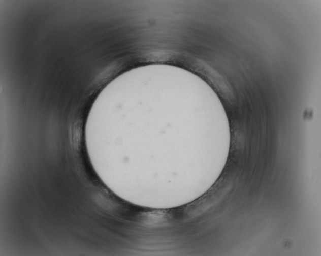 X0000102500118200809051355