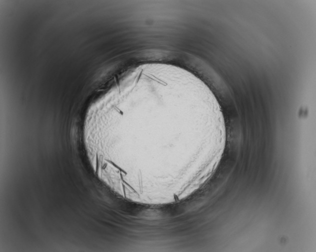 X0000102500119200809051355