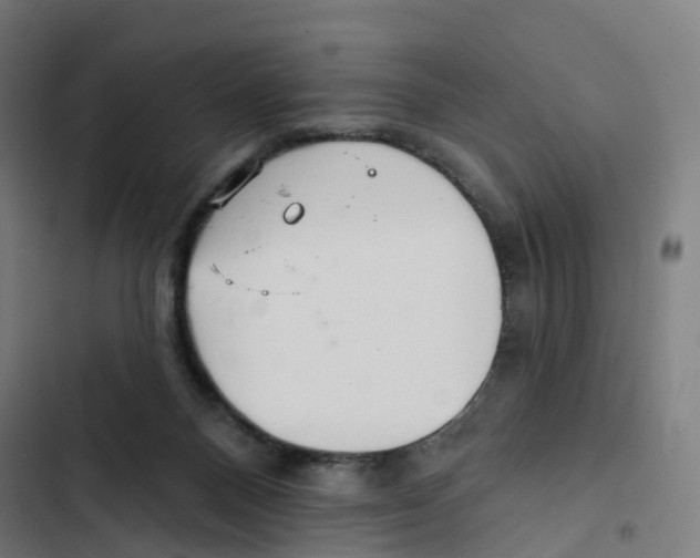 X0000102500120200809051355