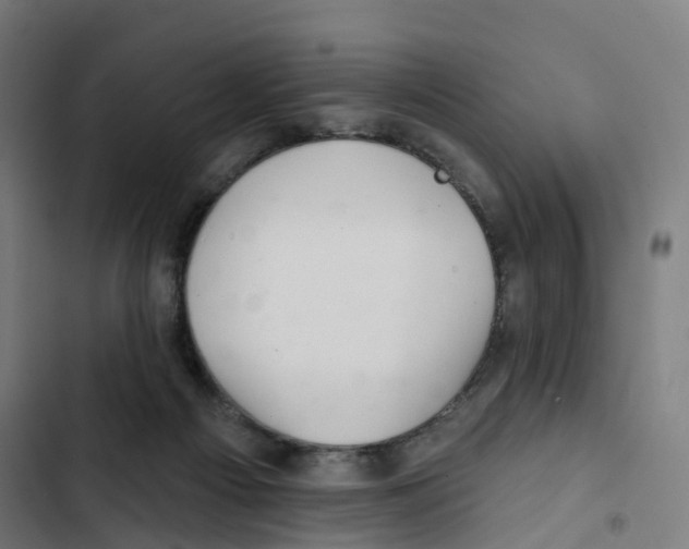 X0000102500121200809051355