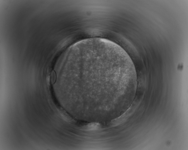 X0000102500124200809051355