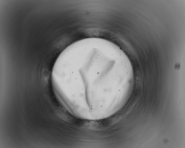 X0000102500125200809051354