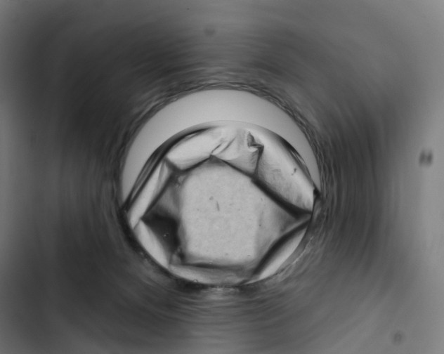 X0000102500128200809051354