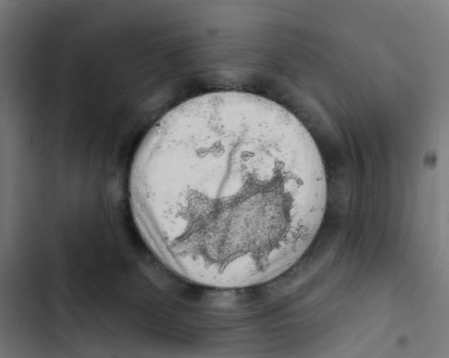 X0000102500131200809051354