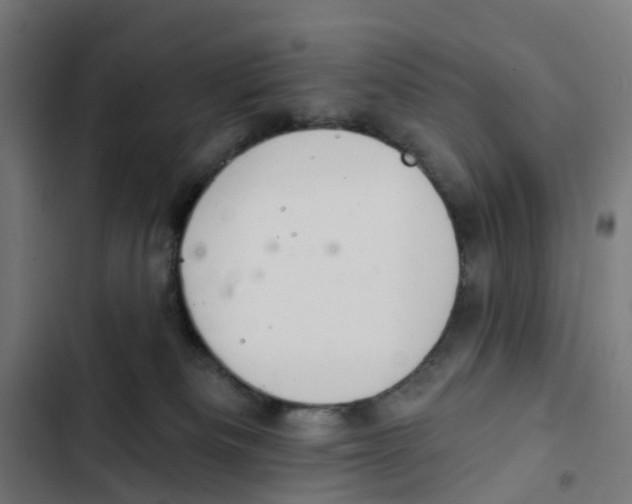 X0000102500133200809051354