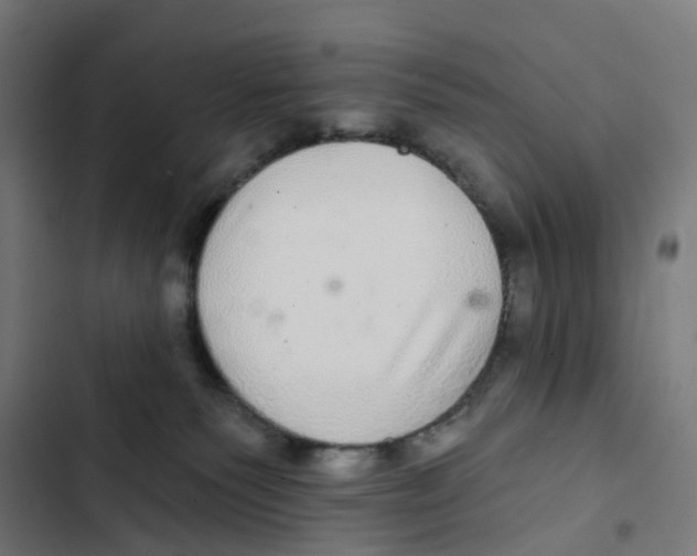 X0000102500135200809051354