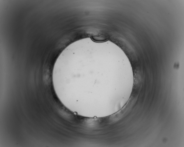 X0000102500136200809051354