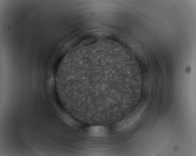 X0000102500137200809051354