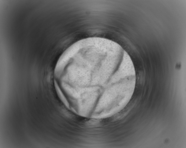 X0000102500138200809051354