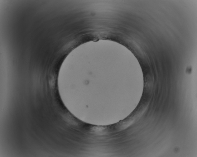 X0000102500139200809051354