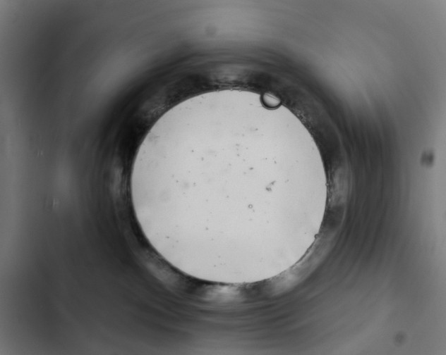 X0000102500140200809051354