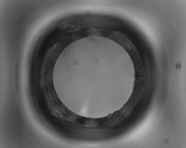 X0000102500143200809051354