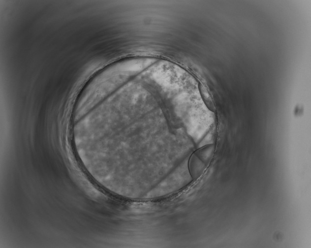 X0000102500145200809051354